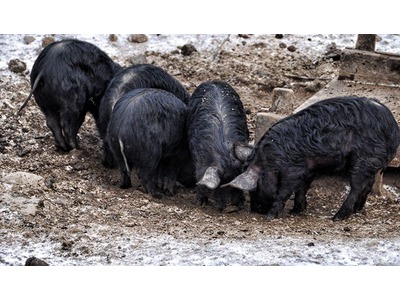 La Ferme de Malières